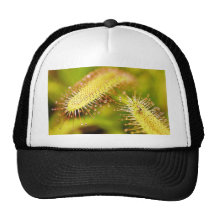 Carnivorous Plants Trucker Hat