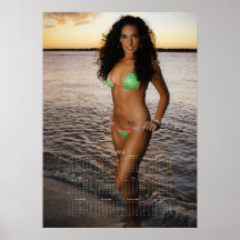 Carolina Coastal Beauties: 2013 Calendar Poster AC