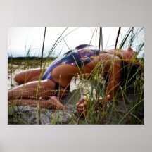 Carolina Coastal Beauties: 2013 Calendar Poster M