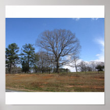 Carolina Country Print