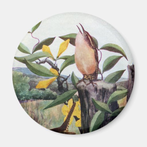 Carolina Wrens and Yellow Jessamine Fridge Magnet