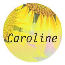Caroline Round Stickers