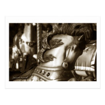 Carousel 24 Postcard
