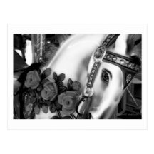 Carousel 25 Postcard