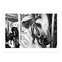 Carousel 27 Postcard