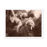 Carousel Ornament Postcard