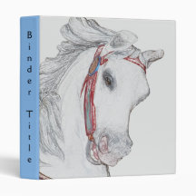 Carousel Pony Artwork Binders