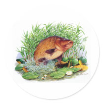 Carp Fishing Round Sticker