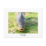 Carp - Karpfen - Ponty Postcard