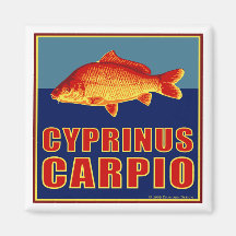 Carp magnet