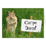 Carpe Diem Chipmunk with Sign Card