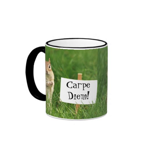Carpe Diem! Chipmunk with Sign Mugs
