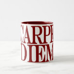 Carpe Diem Latin Quote Mug