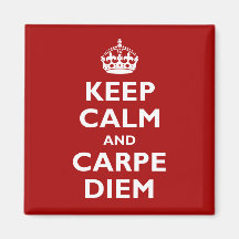 Carpe Diem ! Magnets
