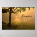 Carpe diem poster posters
