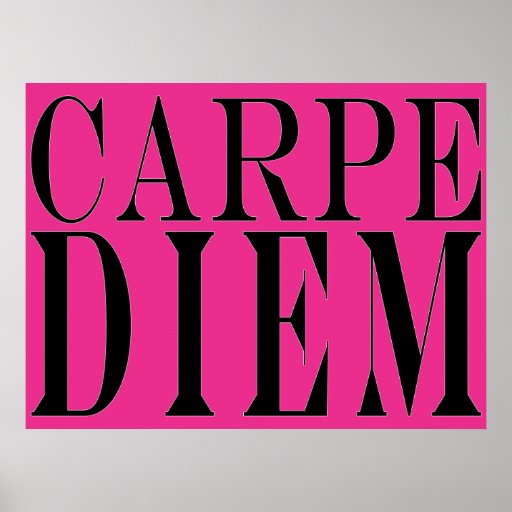 Carpe Diem Seize the Day Latin Quote Happiness Posters
