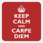 Carpe Diem! Square Stickers