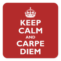 Carpe Diem! Square Stickers