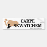 Carpe Skwatchem Bumper Stickers