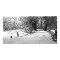 carpet of snow photo card template