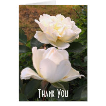 Carpet Rose Cards
