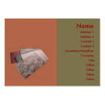 Carpets Business Card