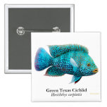 Carpintis Texas Cichlid Pin