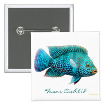 Carpintis Texas Cichlid Pin
