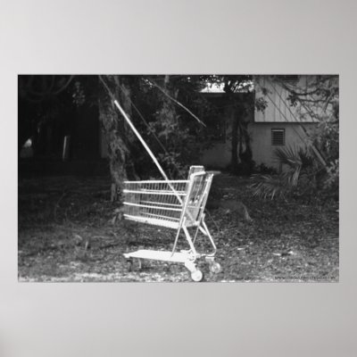 Carriage in the Middle of Nowhere Posters by heatherlacroix