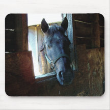 Carrollgraphix - Horse Pad Mouse Mat