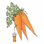 carrot juice photo sculptures