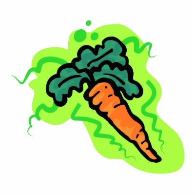 Carrot by Edibility