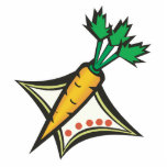 carrot photo cutout