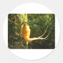 Carrotman by Heywood J Tanpantz Sticker