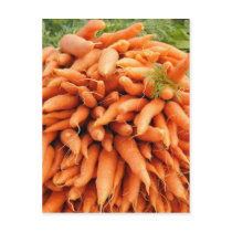 Carrots at Farmers market
