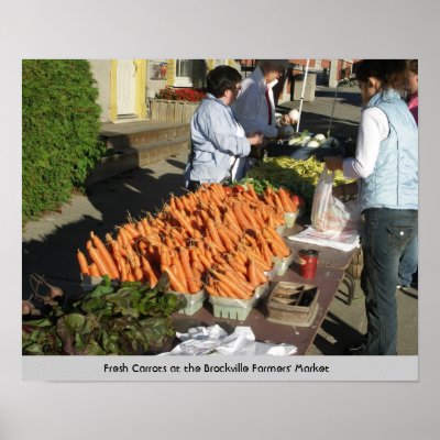 Carrots at The Brockville Farmers' Market Posters by joelor