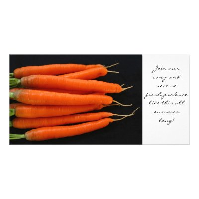 Carrots Fresh from the Garden by LeJardin