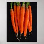 Carrots Fresh from the Garden