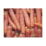 Carrots Postcards