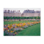 Carrousel Gardens Postcard