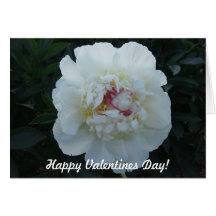Carte blanche de fleur de pivoines de jour de Vale
