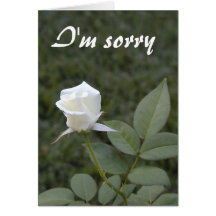 Carte blanche d'excuses de bouton de rose