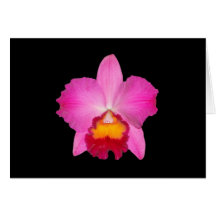 Carte, cattleya rose. # copie 1781