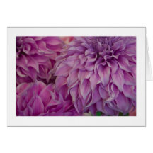 Carte, "dahlia # 151"