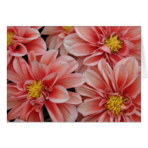 Carte, dahlia rouge-orange #4