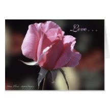 Carte d'amour de rose de rose