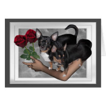 Carte d'amour de roses de chiwawa