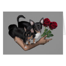 Carte d'amour de roses de chiwawa