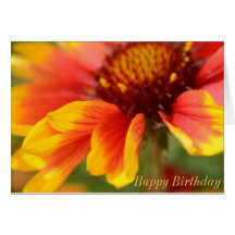 Carte d'anniversaire avec la marguerite, intérieur