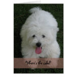 Carte d'anniversaire--Chien de coton